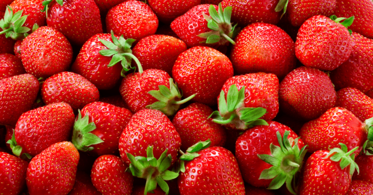 Lucrando com Morango do Amor: Estratégias e Ideias Para Aumentar Suas Vendas